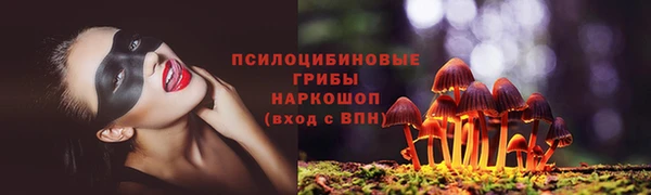 стафф Вяземский