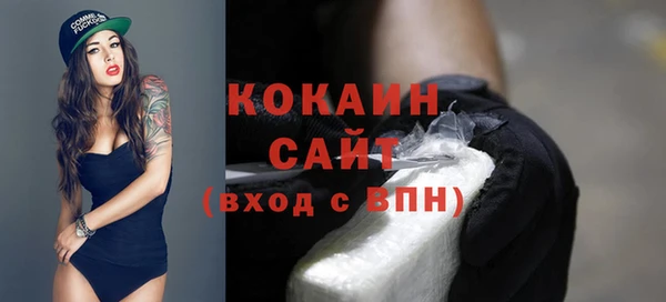 стафф Вяземский