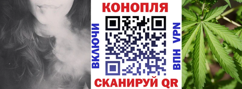 Канабис план  KRAKEN   Сясьстрой 